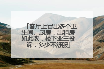 客厅上冒出多个卫生间、厨房，出租房如此改，楼下业主投诉：多少不舒服