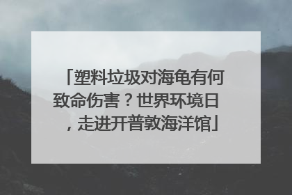 塑料垃圾对海龟有何致命伤害？世界环境日，走进开普敦海洋馆