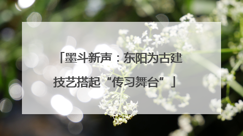 墨斗新声：东阳为古建技艺搭起“传习舞台”