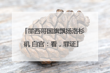 墨西哥国旗飘扬洛杉矶 白宫：看，罪证