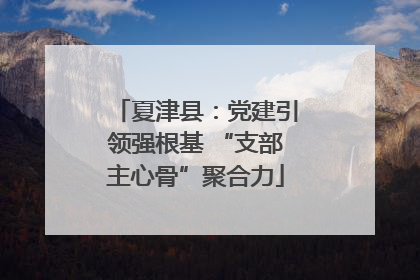 夏津县：党建引领强根基 “支部主心骨”聚合力