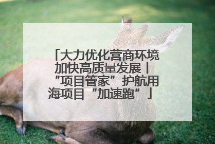 大力优化营商环境 加快高质量发展丨“项目管家”护航用海项目“加速跑”