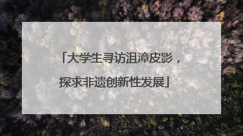 大学生寻访沮漳皮影，探求非遗创新性发展