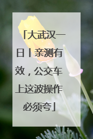 大武汉一日丨亲测有效，公交车上这波操作必须夸