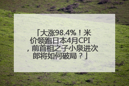 大涨98.4%！米价领跑日本4月CPI，前首相之子小泉进次郎将如何破局？