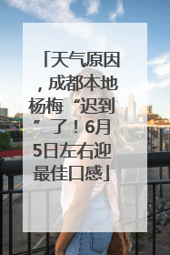 天气原因，成都本地杨梅“迟到”了！6月5日左右迎最佳口感