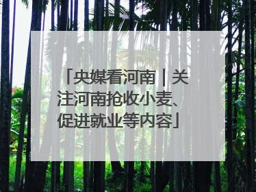 央媒看河南｜关注河南抢收小麦、促进就业等内容