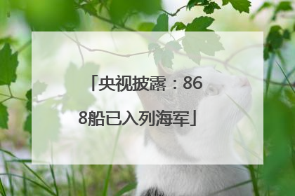 央视披露：868船已入列海军