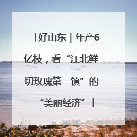 好山东｜年产6亿枝，看“江北鲜切玫瑰第一镇”的“美丽经济”