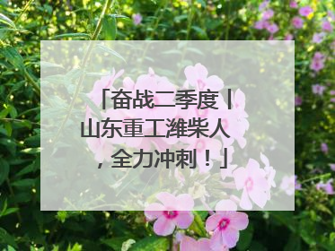 奋战二季度丨山东重工潍柴人，全力冲刺！