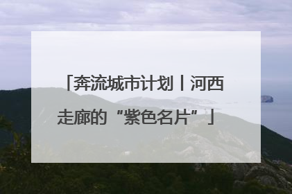 奔流城市计划丨河西走廊的“紫色名片”