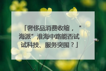 奢侈品消费收缩，“海派”淮海中路能否试试科技、服务突围？