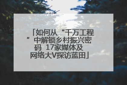 如何从“千万工程”中解锁乡村振兴密码  17家媒体及网络大V探访蓝田