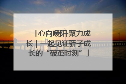 心向暖阳·聚力成长｜一起见证骄子成长的“破茧时刻”