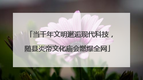 当千年文明邂逅现代科技，随县炎帝文化庙会燃爆全网