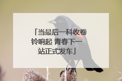 当最后一科收卷铃响起 青春下一站正式发车