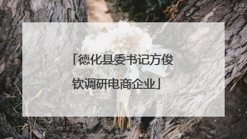德化县委书记方俊钦调研电商企业