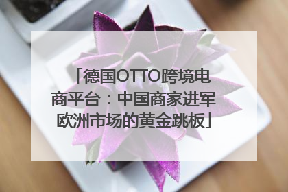 德国OTTO跨境电商平台：中国商家进军欧洲市场的黄金跳板
