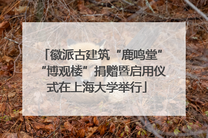 徽派古建筑“鹿鸣堂”“博观楼”捐赠暨启用仪式在上海大学举行