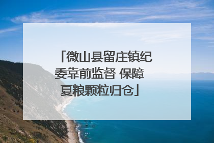 微山县留庄镇纪委靠前监督 保障夏粮颗粒归仓