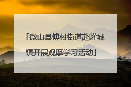 微山县傅村街道赴驩城镇开展观摩学习活动