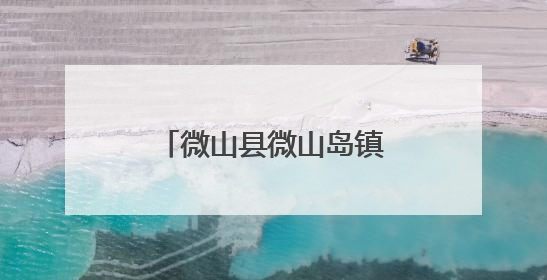 微山县微山岛镇“放管服”改革护航三夏生产
