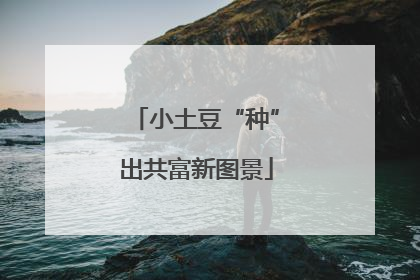 小土豆“种”出共富新图景
