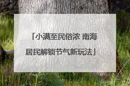 小满至民俗浓 南海居民解锁节气新玩法