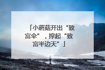 小蘑菇开出“致富伞”，撑起“致富半边天”