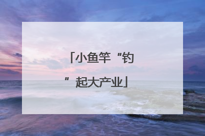 小鱼竿“钓”起大产业