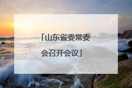 山东省委常委会召开会议