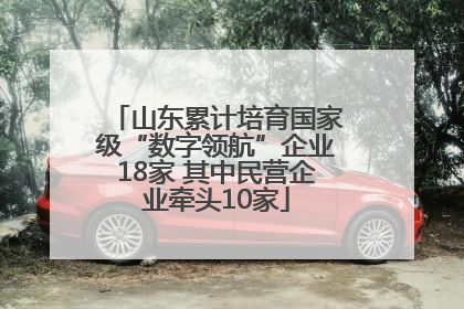 山东累计培育国家级“数字领航”企业18家 其中民营企业牵头10家