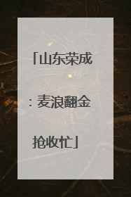 山东荣成：麦浪翻金抢收忙