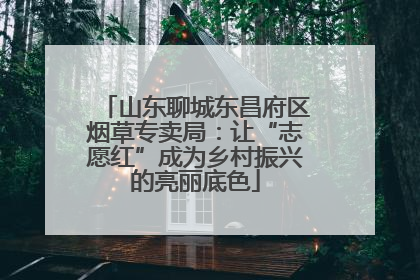 山东聊城东昌府区烟草专卖局：让“志愿红”成为乡村振兴的亮丽底色