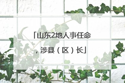 山东2地人事任命，涉县（区）长