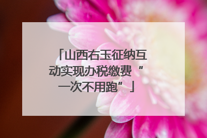 山西右玉征纳互动实现办税缴费“一次不用跑”