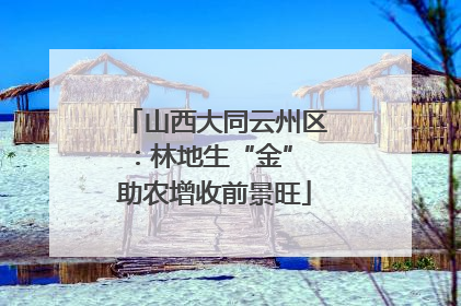 山西大同云州区：林地生“金” 助农增收前景旺
