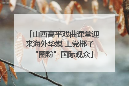 山西高平戏曲课堂迎来海外华媒 上党梆子“圈粉”国际观众