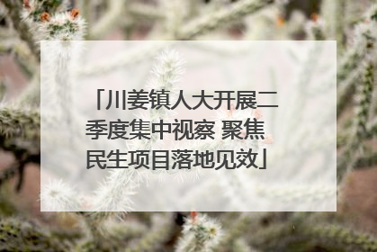 川姜镇人大开展二季度集中视察 聚焦民生项目落地见效