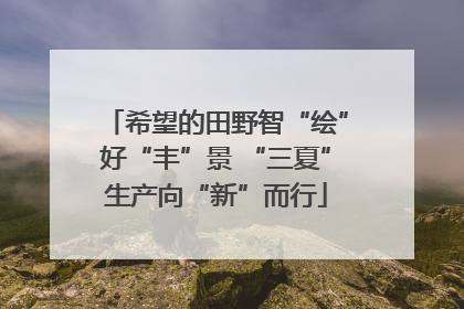 希望的田野智“绘”好“丰”景 “三夏”生产向“新”而行