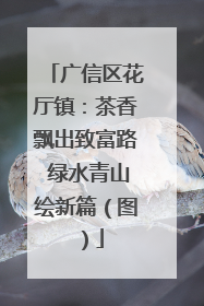 广信区花厅镇：茶香飘出致富路 绿水青山绘新篇（图）