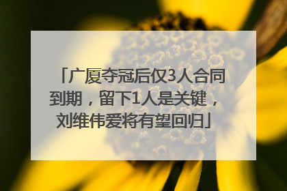 广厦夺冠后仅3人合同到期，留下1人是关键，刘维伟爱将有望回归