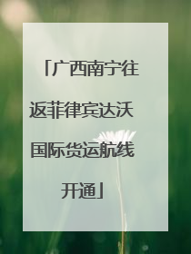 广西南宁往返菲律宾达沃国际货运航线开通