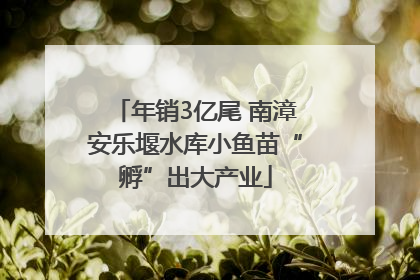 年销3亿尾 南漳安乐堰水库小鱼苗“孵”出大产业
