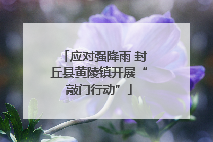 应对强降雨 封丘县黄陵镇开展“敲门行动”