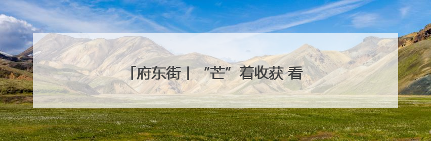 府东街丨“芒”着收获 看菏泽“三夏”好“丰景”