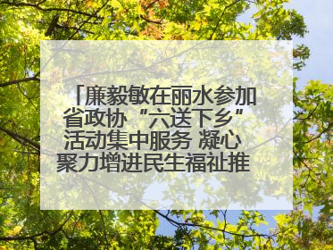 廉毅敏在丽水参加省政协“六送下乡”活动集中服务 凝心聚力增进民生福祉推进共同富裕