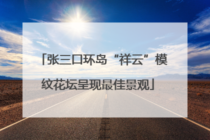 张三口环岛“祥云”模纹花坛呈现最佳景观