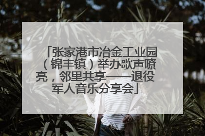 张家港市冶金工业园（锦丰镇）举办歌声嘹亮，邻里共享——退役军人音乐分享会