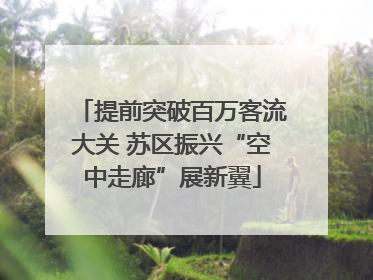 提前突破百万客流大关 苏区振兴“空中走廊”展新翼